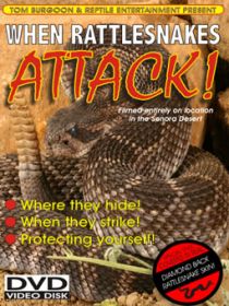 When Rattlesnakes Attack